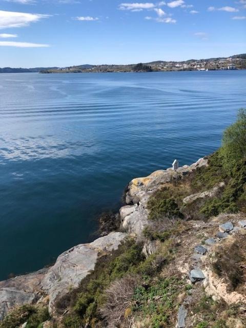 Koselig Nyoppusset 3 Roms Leilighet Med Egen Parkeringsplass I Rolige Omgivelse Naer Sjoen, 2 Mil Nord For Bergen Sentrum. 外观 照片